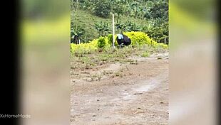 i paid a young 18+ colombian farm girl to milk my cock on the ranch