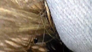 White Girl Sucking Big Black