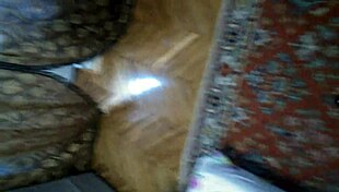 she pissed behind the sofa