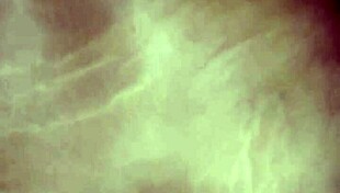 Homemade Massage With A Curvy Latina