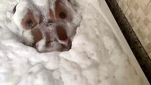 trailer hot masseuse got a surprise from star football player