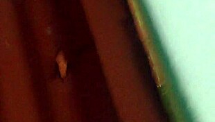 i saw mohana bathing on hidden cam southindian part 1