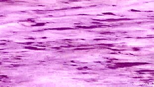 Gorgeous teen AGNES bathes NAKED in the OCEAN!