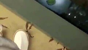 Vietnamese Wife Bent Over in Doggy Style