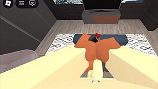 A simple verification video