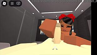 A simple verification video