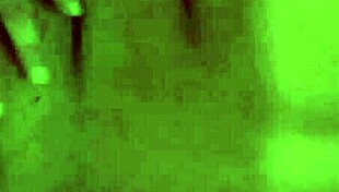 Meu cuzinho n�o vai rasgaaa