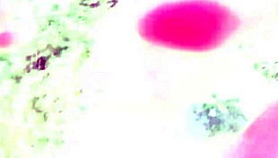 African Slut Fucks Publicly On Beach Voyeur Watches Big Tits Exposed