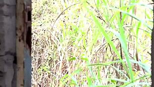 traditional love with my village doctor, it's been months i can't get my pussy wet so hope in tradition