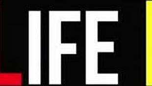 new face julia gets rimmed first time