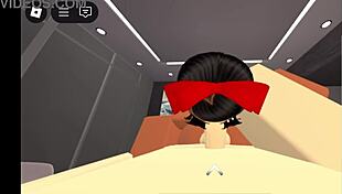 A simple verification video