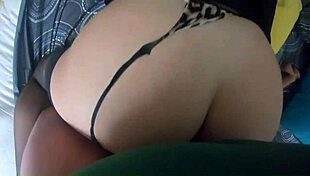 Milfycalla's Romantic Blowjobs In Shorts!