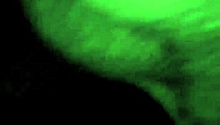 Creampie in Ebony Pussy