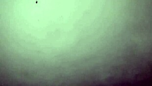 gatita nerd me pide leche en su boquita infiel