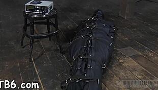 Upside Down Hottie Gets Nipps Clipped During Hardcore Sex