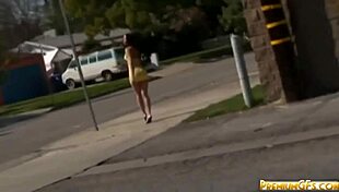 Rachel Starr Gets Cumshot After Doggystyle