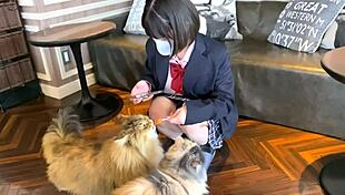 Young-Faced Huge-Tits Jk In Uniform Sex After Cat Cafe Date