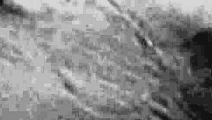 I encountered sexy psycho shower girl