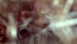 Multiple Creampie In Pussy