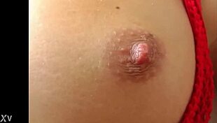 Euro solo pussy and ass soft masturbation model beauty sexy tall bitch stocking bambi t2?