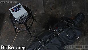 Upside Down Hottie Gets Nipps Clipped During Hardcore Sex