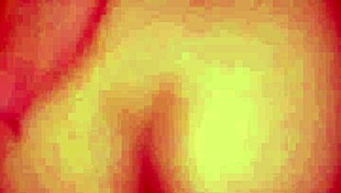 Sexy Latina Se Desnuda Y Muestra Su Gran Culo