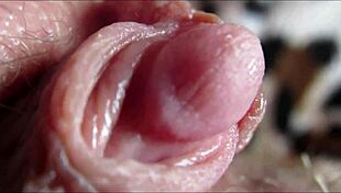 i'm watchin' this big clit orgasm up close