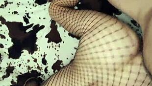 this video flipped everything upside down