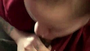 mr fly guy bang her mouth out