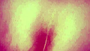 Watch me fuck his ass with this strapon! Want a turn?