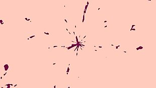 Watch this 80-year-old grandma in amateur anal sex and cum swallowing