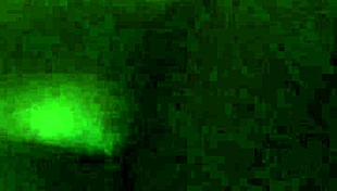 Tight Wet Hairy Big Booty BBW Gets Fucked Hard