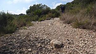 When I Meet A Porn Actress Walking In The Wood Gabriela Flores La Cubana Free Vid