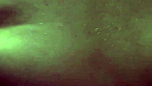 Real Cheating Big Ass 18 Year White Girl Old Cheats On Boyfriend For Older Bbc