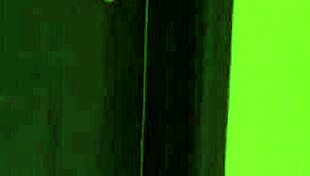 Ava Addams At Home Anal Sex Tape