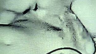 Horny Maam Loves Two.