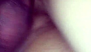 hollanda explores dutch european toys with dildos