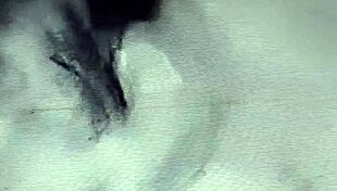 Horny Maam Loves Two.