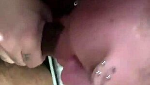 mr fly guy bang her mouth out