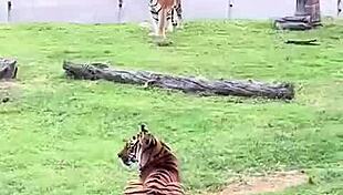 Mexico Trip Recap Featuring Clothes Being Ripped.