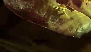 Mexico Trip Recap Featuring Clothes Being Ripped.