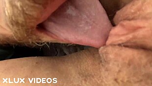 Brazilian Brunette Dora Gets Oral Sex On College Trip Trail In Sheer Red