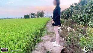 Young Japanese Couple Fucks Doggystyle in Rice Field
