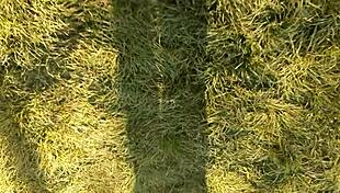 village girl teases pussy at lunch