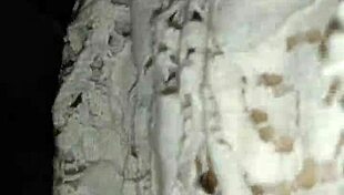 Ex Girlfriend Worships Monster Cock in Tight Stockings