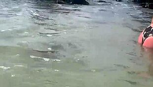 Stranger feeds my cum to fish on the beach in public