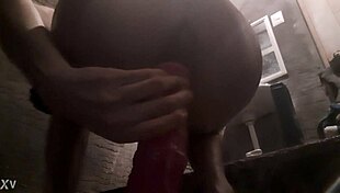 Ladyboy stretches ass wide with massive horse dildo ride