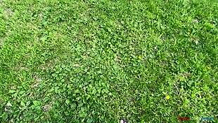 brunette amateur moans during first outdoor masturbation in forest for 2024