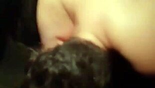 hey maestra mexicana, your hubby watches stranger doggy fuck you in car!