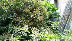 damn, this sexy latina teen from the commune shows off her wild bedroom tricks!